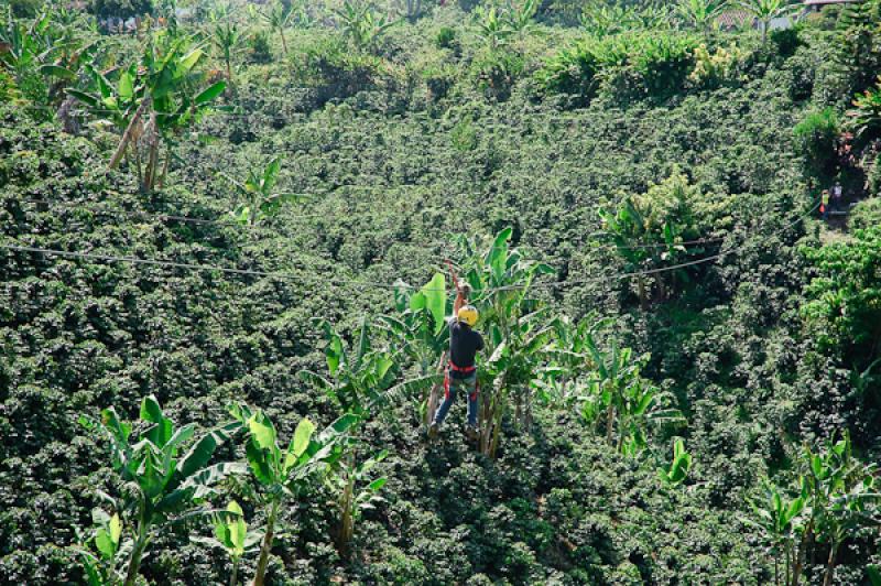 Deporte de Canopy, Eje Cafetero, Quindio, Armenia,...