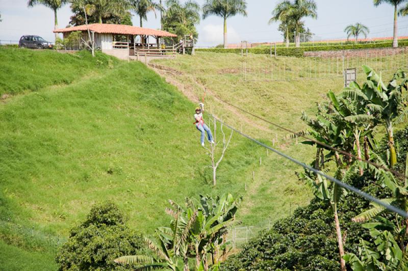 Deporte de Canopy, Eje Cafetero, Quindio, Armenia,...