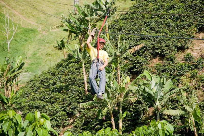 Deporte de Canopy, Eje Cafetero, Quindio, Armenia,...