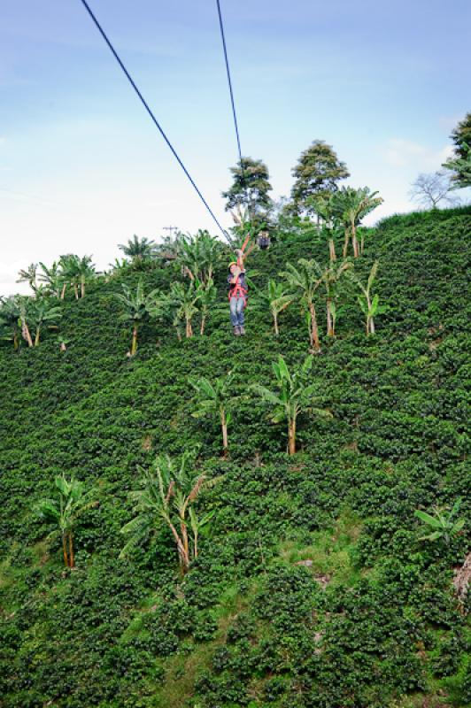 Deporte de Canopy, Eje Cafetero, Quindio, Armenia,...