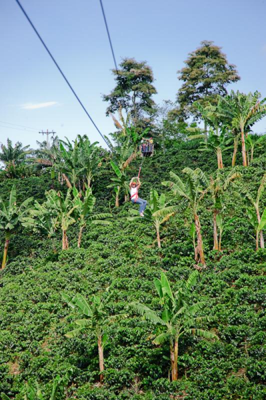 Deporte de Canopy, Eje Cafetero, Quindio, Armenia,...