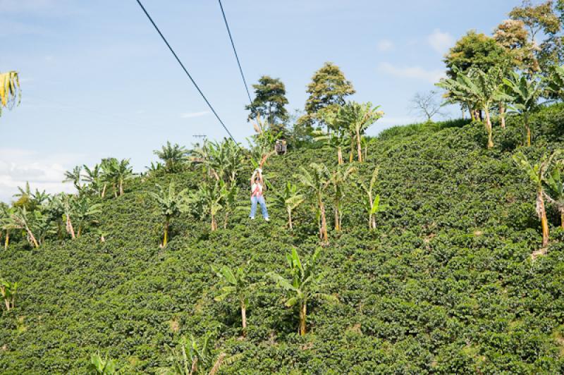 Deporte de Canopy, Eje Cafetero, Quindio, Armenia,...