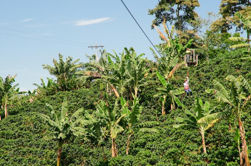 Deporte de Canopy, Eje Cafetero, Quindio, Armenia,...