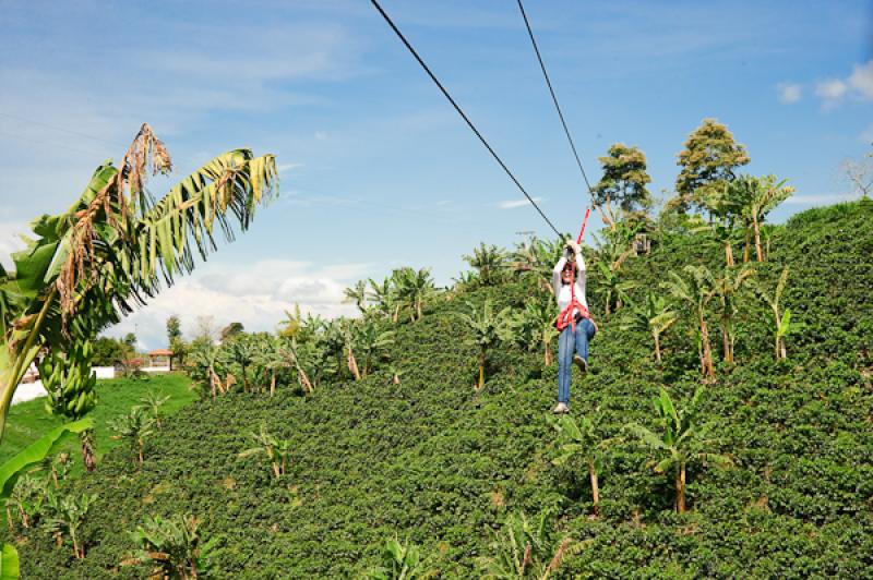 Deporte de Canopy, Eje Cafetero, Quindio, Armenia,...