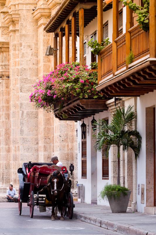 Carruaje en Plaza San Pedro Claver, Cartagena, Bol...