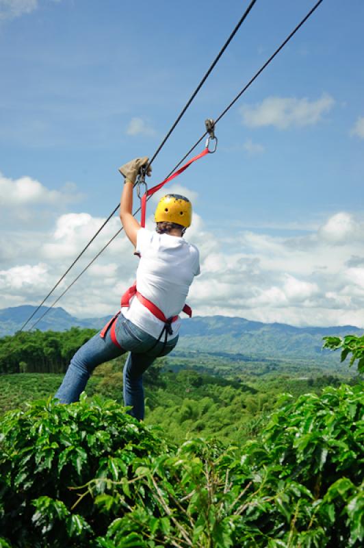 Deporte de Canopy, Eje Cafetero, Quindio, Armenia,...