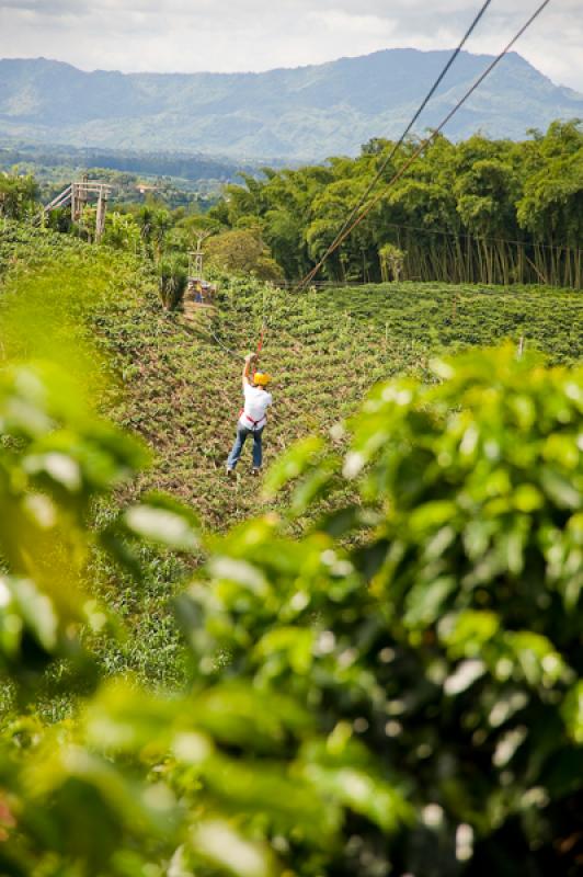 Deporte de Canopy, Eje Cafetero, Quindio, Armenia,...