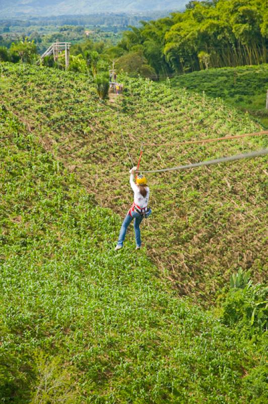 Deporte de Canopy, Eje Cafetero, Quindio, Armenia,...