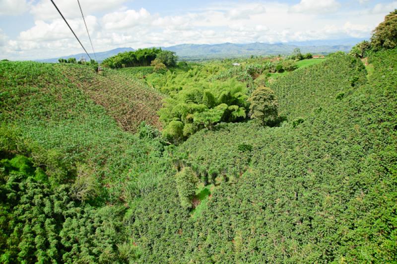 Paisaje del Eje Cafetero, Quindio, Armenia, Colomb...