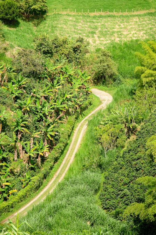 Paisaje del Eje Cafetero, Quindio, Armenia, Colomb...