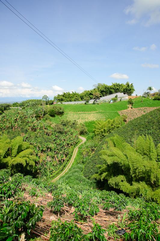 Paisaje del Eje Cafetero, Quindio, Armenia, Colomb...