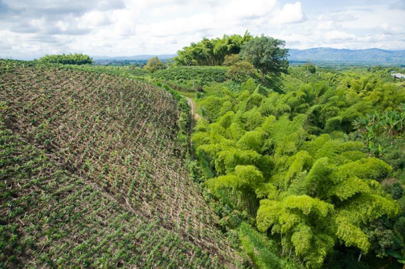 Paisaje del Eje Cafetero, Quindio, Armenia, Colomb...