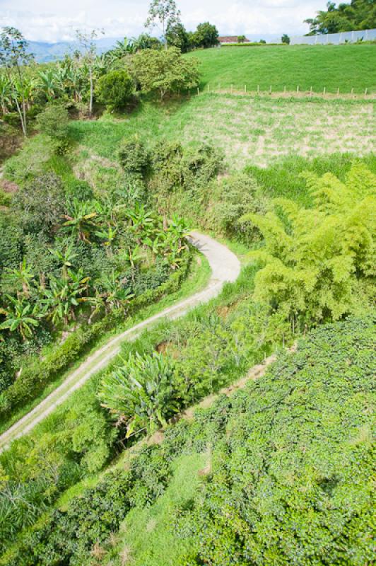 Paisaje del Eje Cafetero, Quindio, Armenia, Colomb...