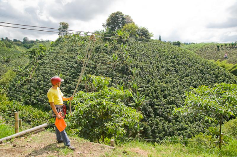 Deporte de Canopy, Eje Cafetero, Quindio, Armenia,...