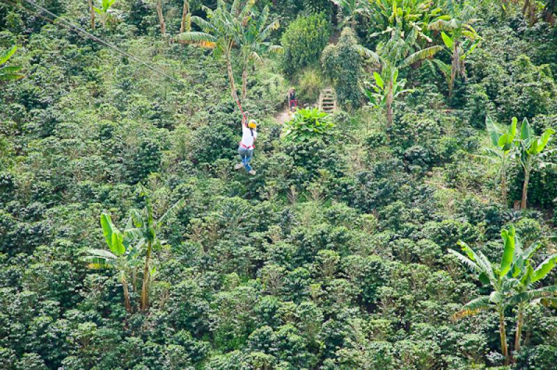 Deporte de Canopy, Eje Cafetero, Quindio, Armenia,...