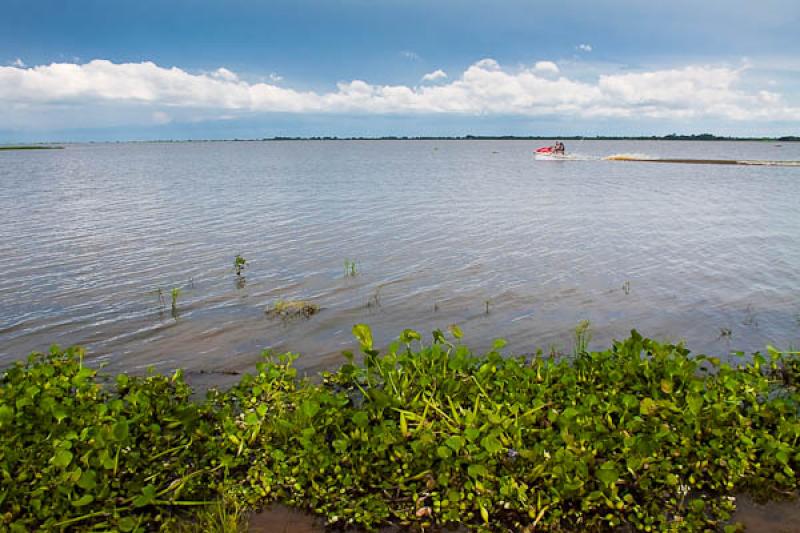 Cienaga de Ayapel, Ayapel, Cordoba, Colombia