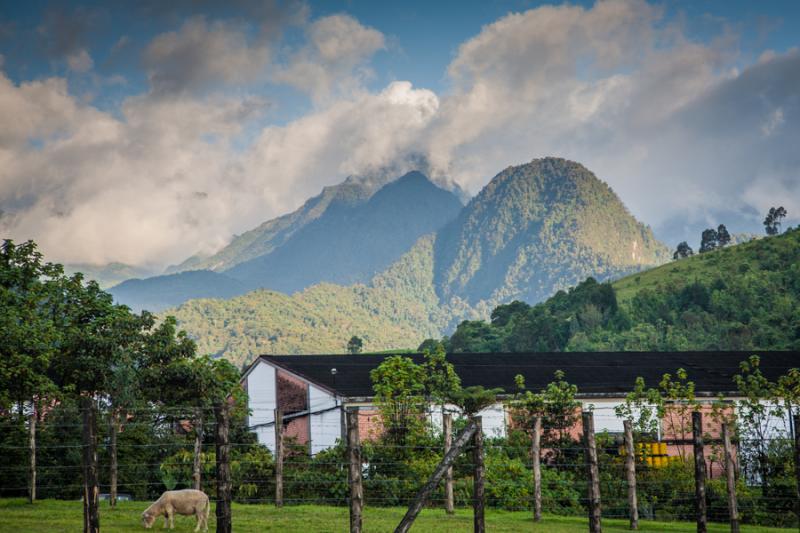 Vivienda Colonial, Manizales, Caldas, Colombia