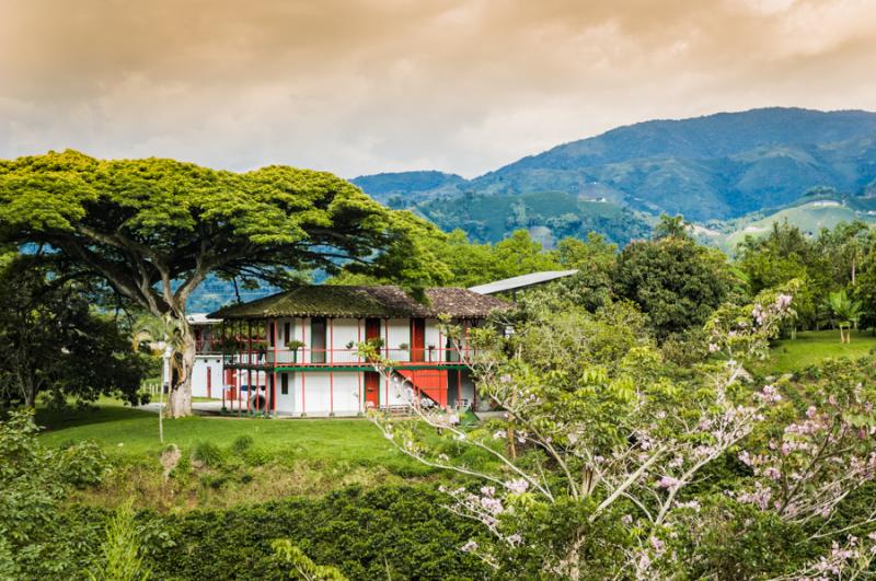 Finca Cafetera, Eje Cafetero, Quindio, Colombia