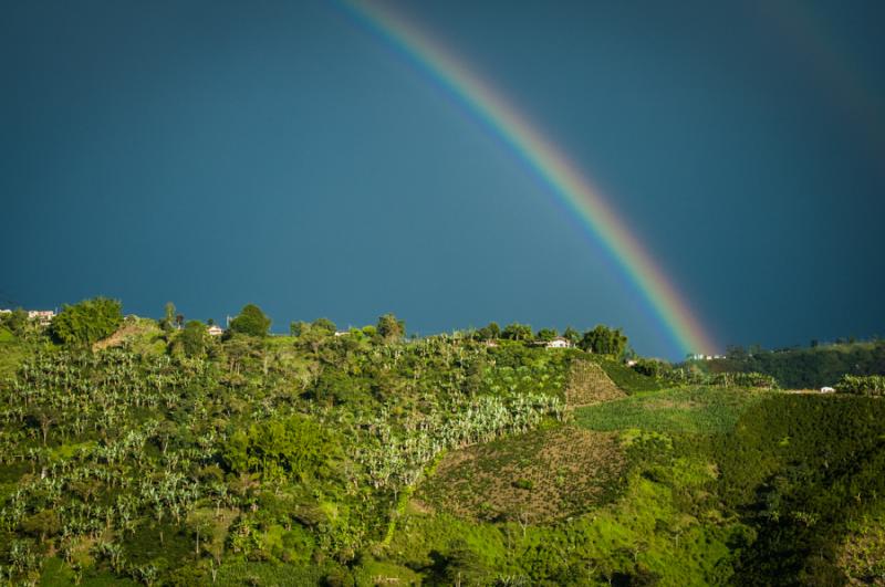 Arco Iris en la Montaña, Eje Cafetero, Quindio, C...