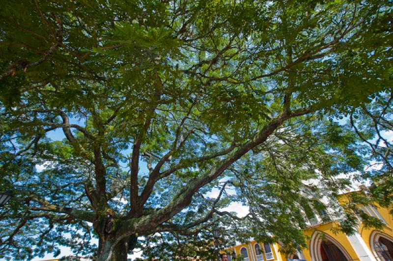 Plaza Principal, Alcala, Valle del Cauca, Colombia