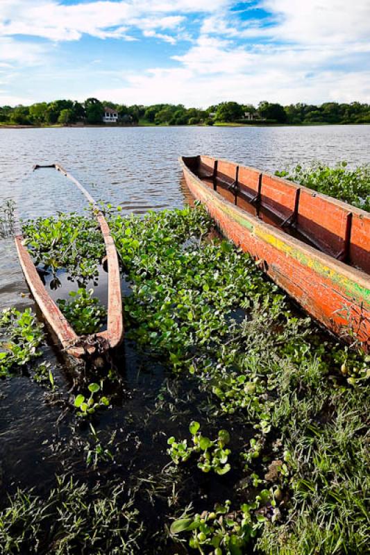 Canoas en la Cienaga de Ayapel, Ayapel, Cordoba, C...