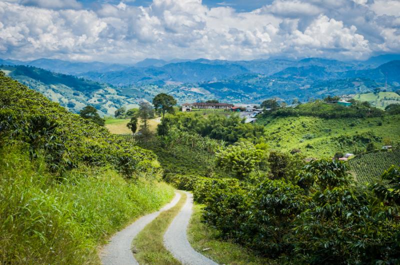 Camino en las Montañas del Eje Cafetero, Quindio,...