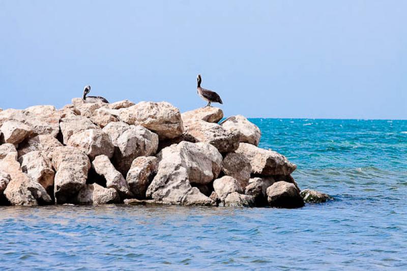 CoveÃ±as, Golfo de Morrosquillo, Sucre, Sincelej...