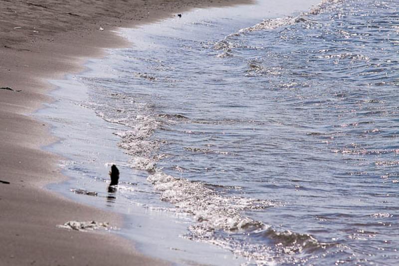 Playa de San Jose, CoveÃ±as, Golfo de Morrosquil...