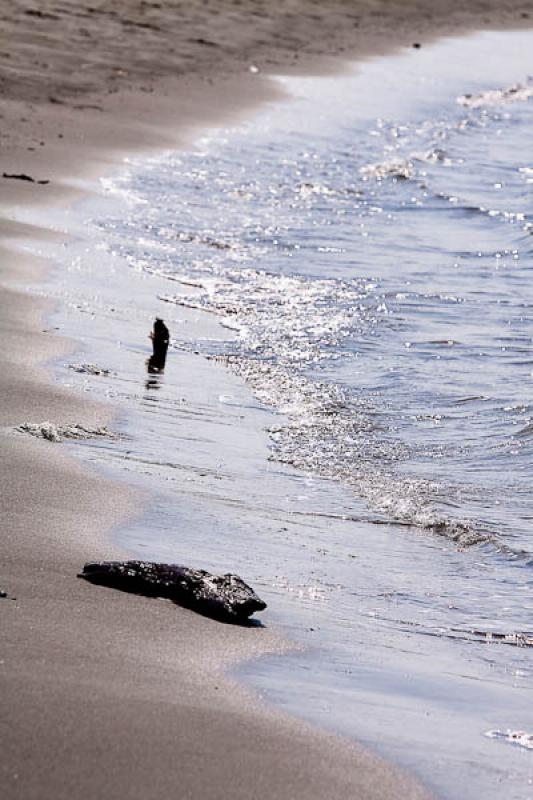 Playa de San Jose, CoveÃ±as, Golfo de Morrosquil...