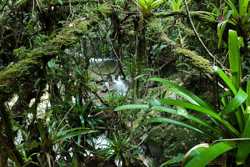 Concepcion, Oriente AntioqueÃ±o, Antioquia, Colo...