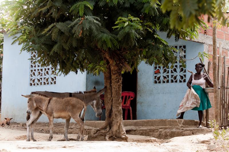 Mujer Afrocolombiana, San Basilio de Palenque, Mah...