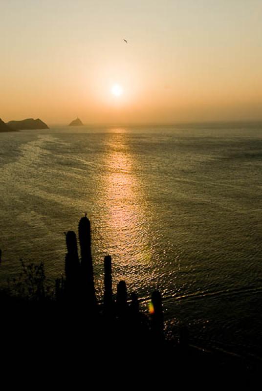 Bahia Taganga, Taganga, Santa Marta, Magdalena, Co...