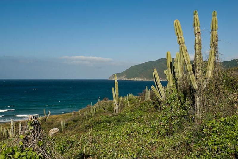 Playa de las Siete Olas, Parque Nacional Natural T...