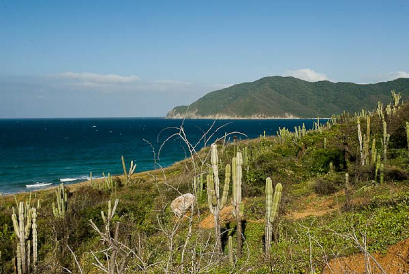 Playa de las Siete Olas, Parque Nacional Natural T...