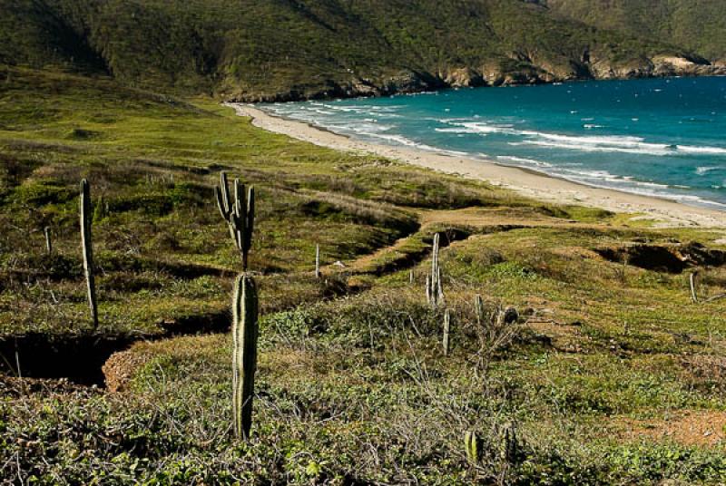 Playa de las Siete Olas, Parque Nacional Natural T...