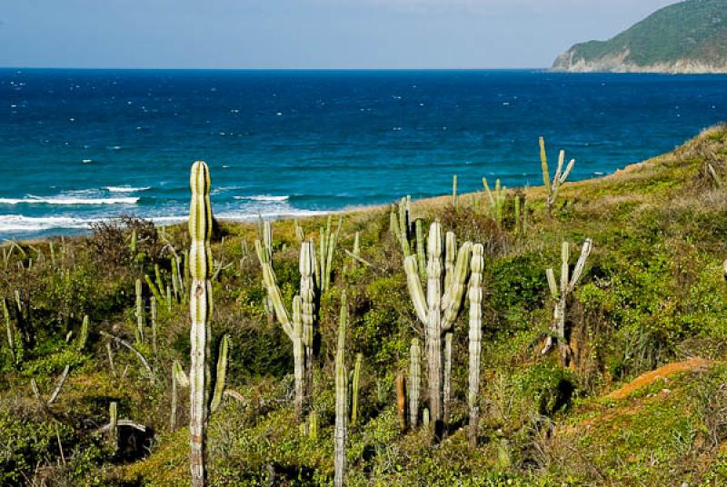 Playa de las Siete Olas, Parque Nacional Natural T...