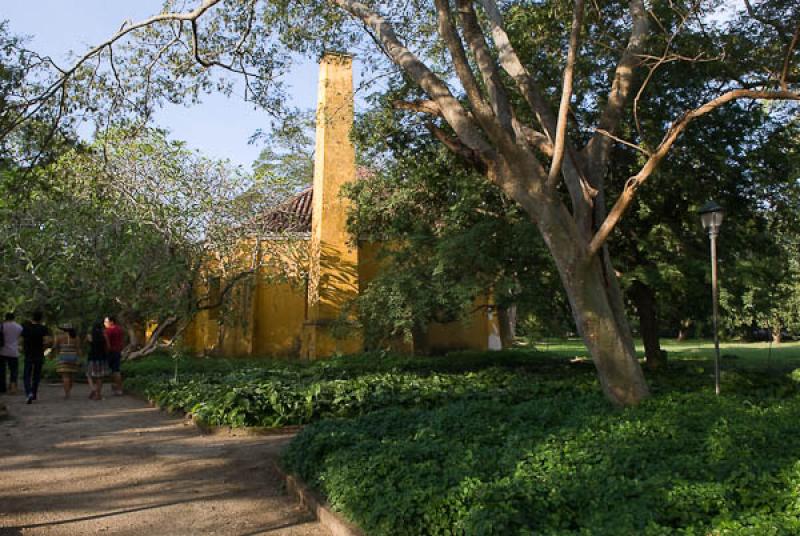 Hacienda Florida de San Pedro Alejandrino, Quinta ...