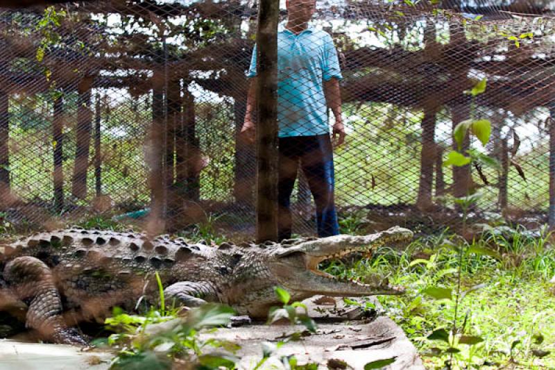 Estacion Caimanes, Zooparque los Caimanes, Buenavi...