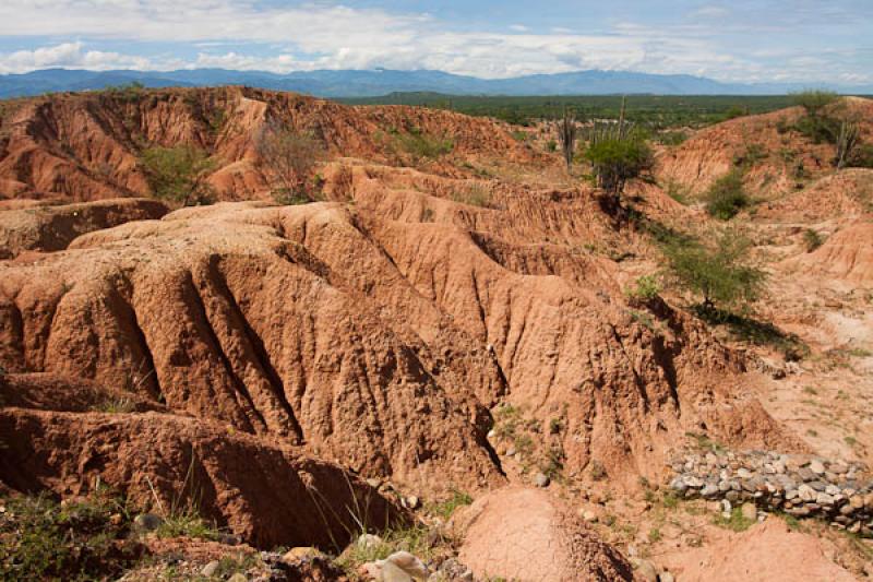 Sector del Cuzco, Desierto de la Tatacoa, Huila, N...