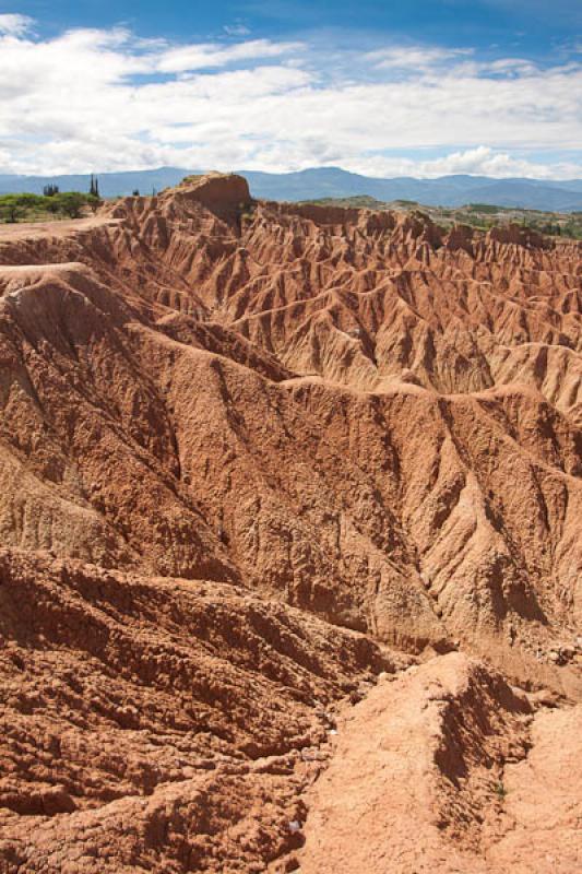 Sector del Cuzco, Desierto de la Tatacoa, Huila, N...