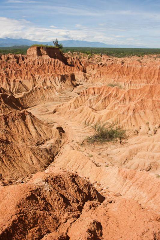 Sector del Cuzco, Desierto de la Tatacoa, Huila, N...