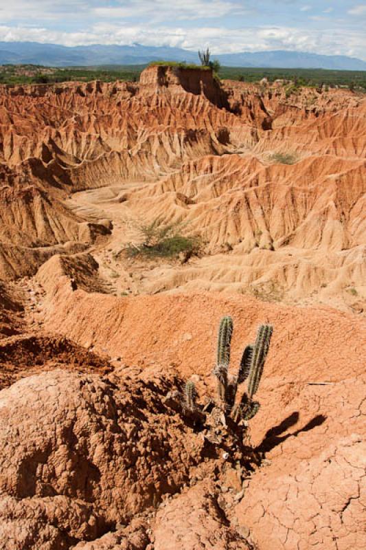 Sector del Cuzco, Desierto de la Tatacoa, Huila, N...