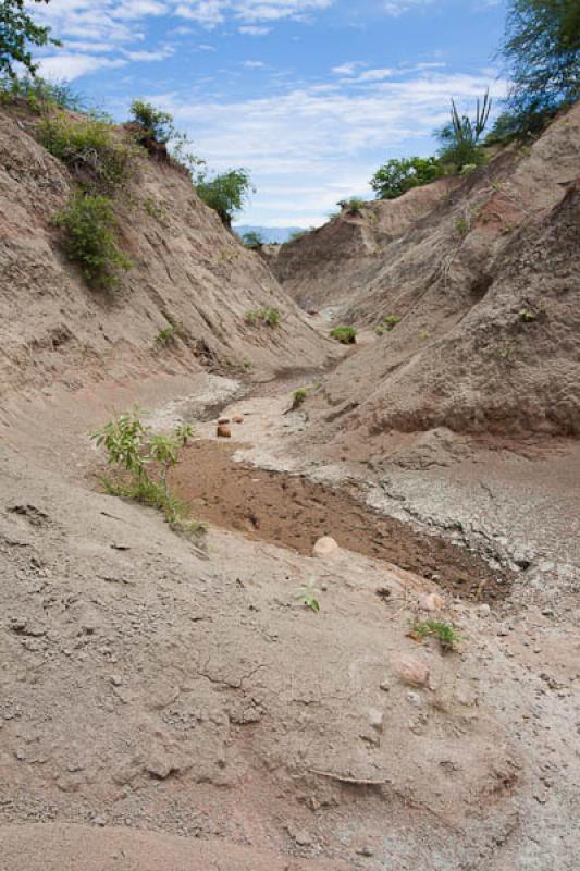 Zona de Los Hoyos, Desierto de la Tatacoa, Huila, ...