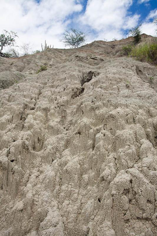 Zona de Los Hoyos, Desierto de la Tatacoa, Huila, ...