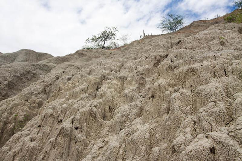 Zona de Los Hoyos, Desierto de la Tatacoa, Huila, ...