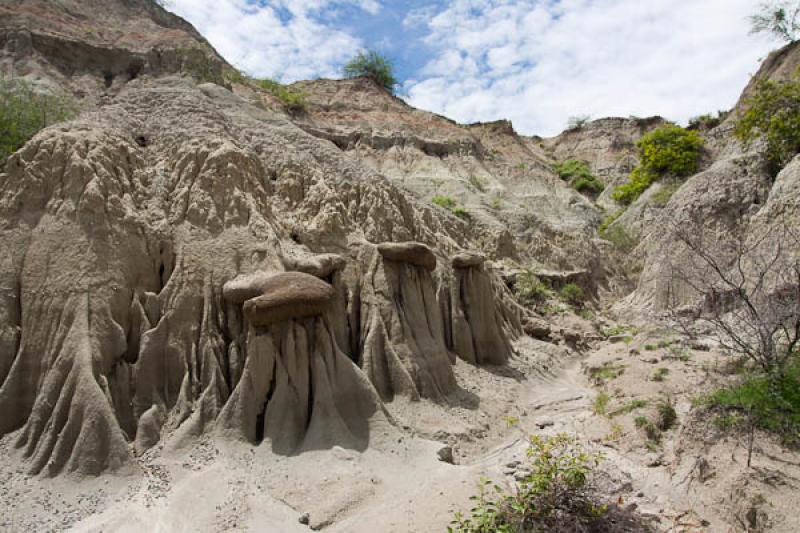 Zona de Los Hoyos, Desierto de la Tatacoa, Huila, ...