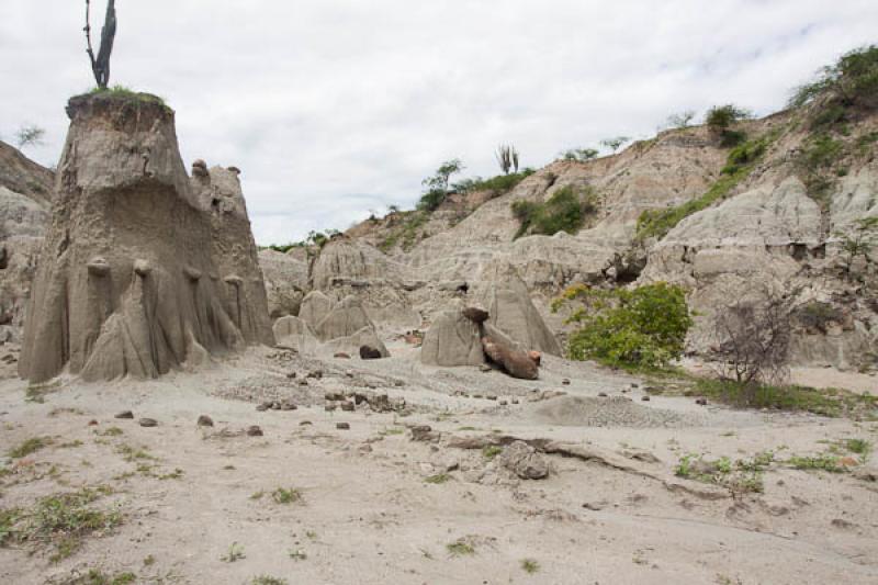 Zona de Los Hoyos, Desierto de la Tatacoa, Huila, ...