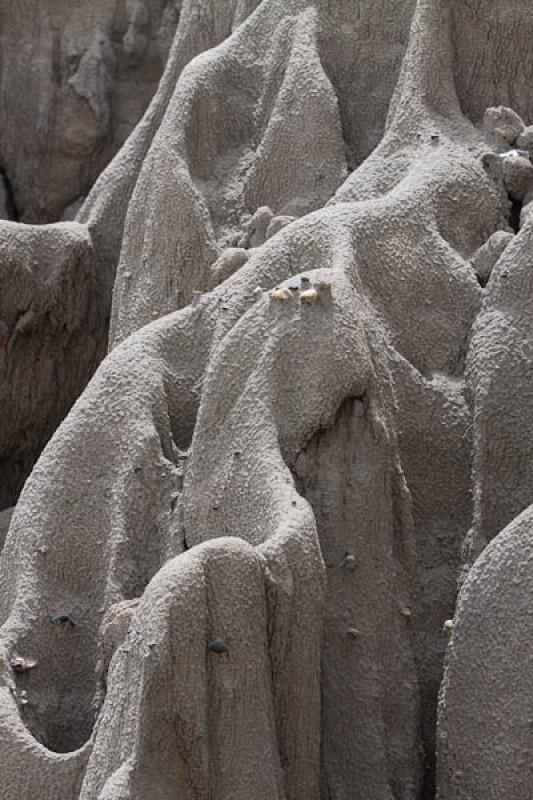 Zona de Los Hoyos, Desierto de la Tatacoa, Huila, ...