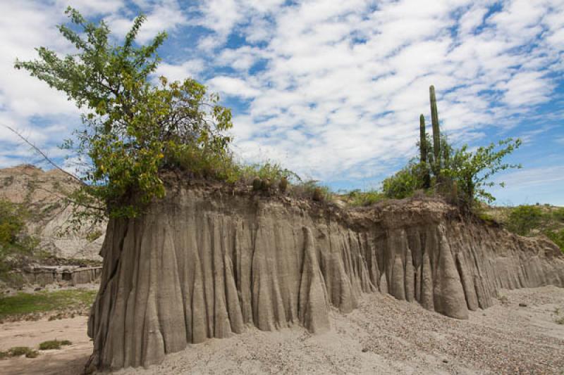 Zona de Los Hoyos, Desierto de la Tatacoa, Huila, ...