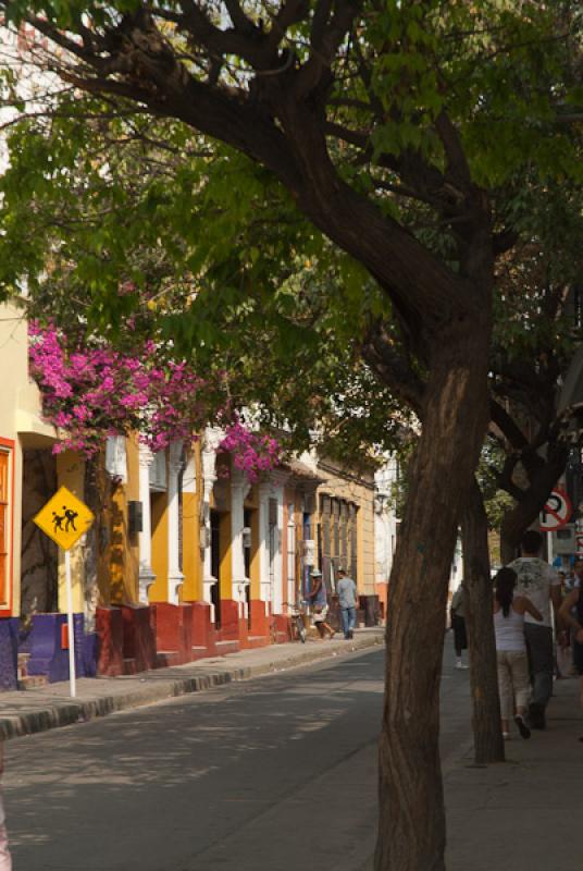 Arquitectura Tradicional, Santa Marta, Magdalena, ...